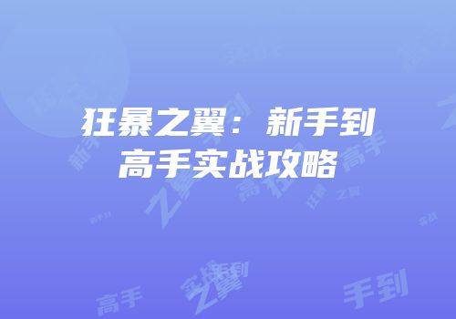 狂暴之翼：新手到高手实战攻略