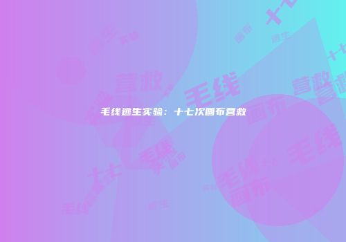 毛线逃生实验：十七次画布营救