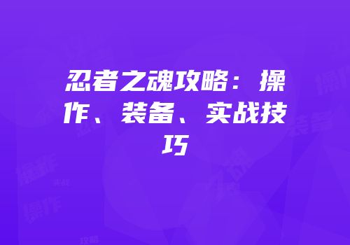 忍者之魂攻略:操作、装备、实战技巧