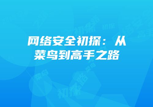 网络安全初探：从菜鸟到高手之路