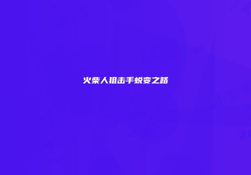 火柴人狙击手蜕变之路