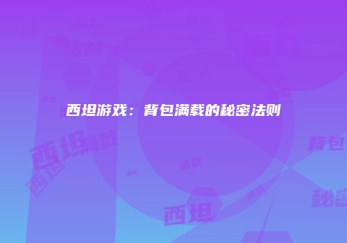 西坦游戏：背包满载的秘密法则