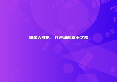 喵星人战队：打造猫咪拳王之路