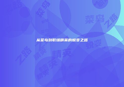 从菜鸟到职场精英的蜕变之路