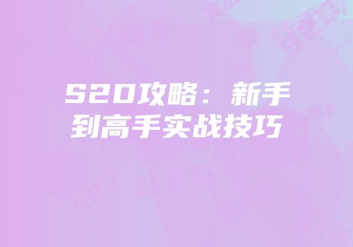 S2D攻略：新手到高手实战技巧