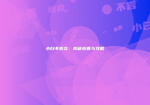 小白不言弃：揭秘惊喜与攻略