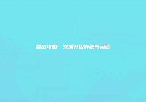 蜀山攻略：快速升级养硬气角色