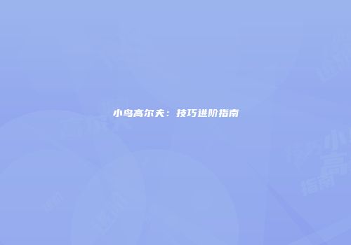 小鸟高尔夫：技巧进阶指南