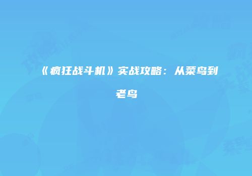 《疯狂战斗机》实战攻略：从菜鸟到老鸟