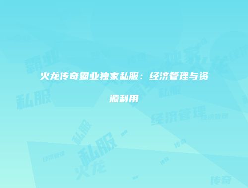 火龙传奇霸业独家私服：经济管理与资源利用