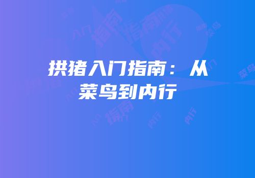 拱猪入门指南：从菜鸟到内行