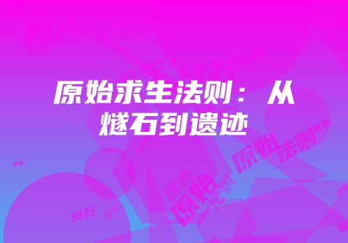 原始求生法则：从燧石到遗迹