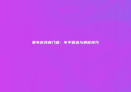 赛车游戏真门道：车手筛选与调校技巧