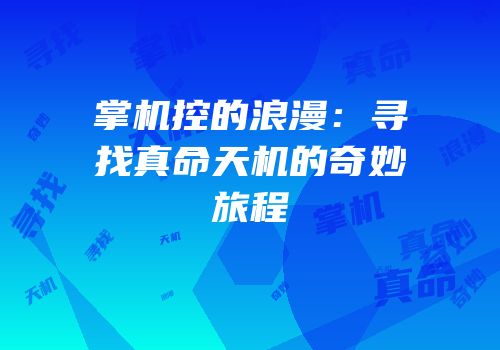 掌机控的浪漫：寻找真命天机的奇妙旅程