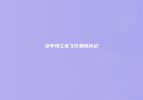 空中特工队飞行员成长记