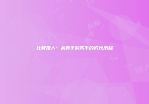 比特猎人：从新手到高手的成长历程