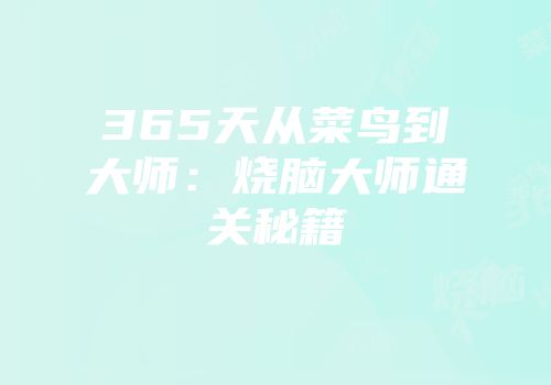 365天从菜鸟到大师：烧脑大师通关秘籍