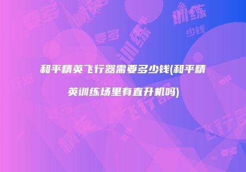 和平精英飞行器需要多少钱(和平精英训练场里有直升机吗)