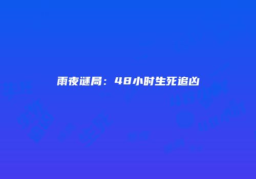 雨夜谜局：48小时生死追凶