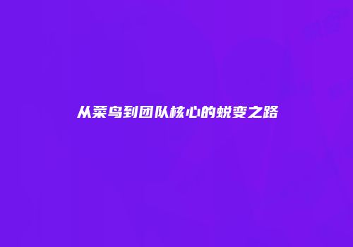 从菜鸟到团队核心的蜕变之路