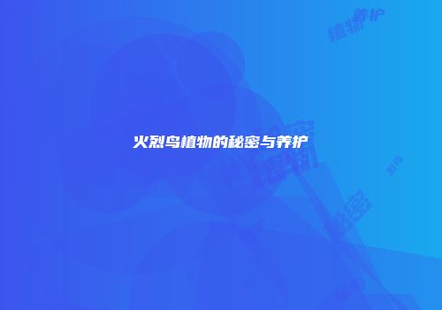 火烈鸟植物的秘密与养护