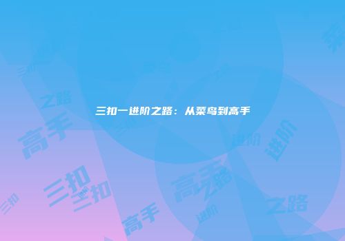 三扣一进阶之路：从菜鸟到高手