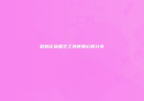 戳刺花朵园艺工具使用心得分享