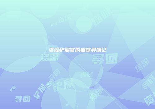 资深铲屎官的猫咪寻回记