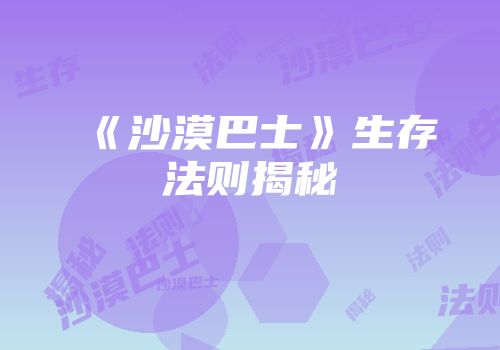 《沙漠巴士》生存法则揭秘