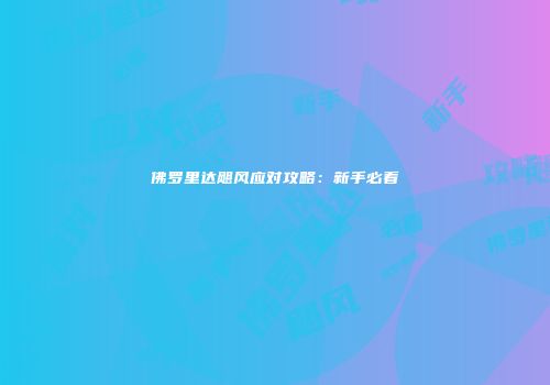 佛罗里达飓风应对攻略：新手必看
