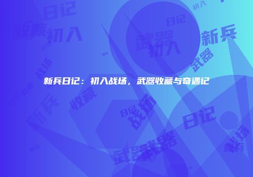 新兵日记：初入战场，武器收藏与奇遇记
