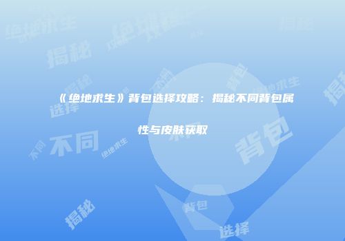 《绝地求生》背包选择攻略：揭秘不同背包属性与皮肤获取