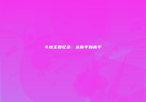 斗地主回忆录：从新手到高手