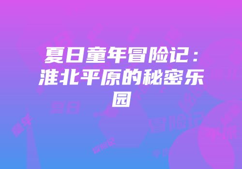 夏日童年冒险记：淮北平原的秘密乐园