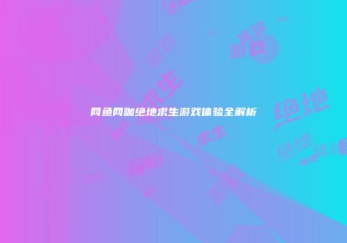 网鱼网咖绝地求生游戏体验全解析