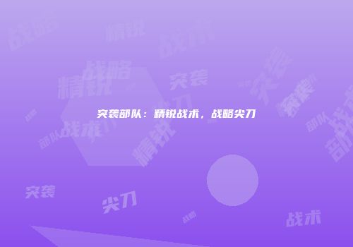 突袭部队：精锐战术，战略尖刀