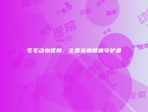 毛毛动物医院：全国宠物健康守护者
