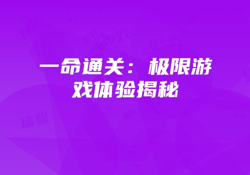 一命通关：极限游戏体验揭秘