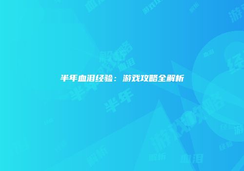 半年血泪经验：游戏攻略全解析