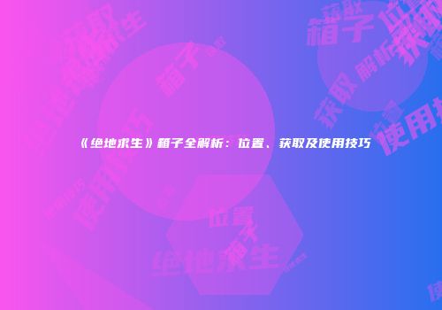 《绝地求生》箱子全解析：位置、获取及使用技巧
