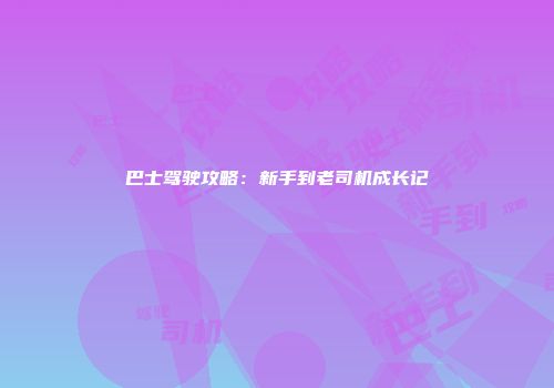 巴士驾驶攻略：新手到老司机成长记