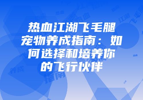 热血江湖飞毛腿宠物养成指南：如何选择和培养你的飞行伙伴