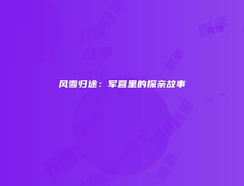 风雪归途：军营里的探亲故事