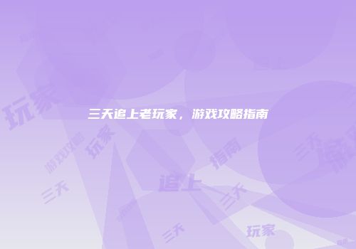 三天追上老玩家,游戏攻略指南