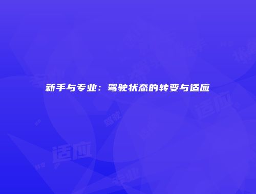 新手与专业：驾驶状态的转变与适应