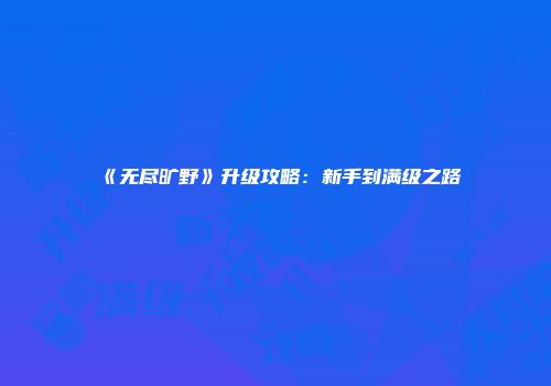 《无尽旷野》升级攻略：新手到满级之路