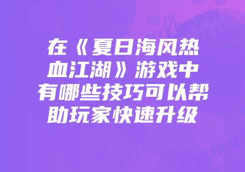 在《夏日海风热血江湖》游戏中有哪些技巧可以帮助玩家快速升级