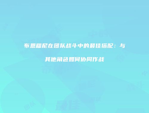 布恩穆尼在团队战斗中的最佳搭配：与其他角色如何协同作战