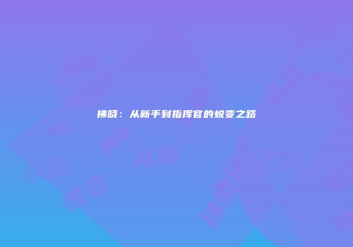 拂晓：从新手到指挥官的蜕变之路