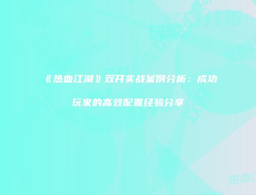 《热血江湖》双开实战案例分析：成功玩家的高效配置经验分享